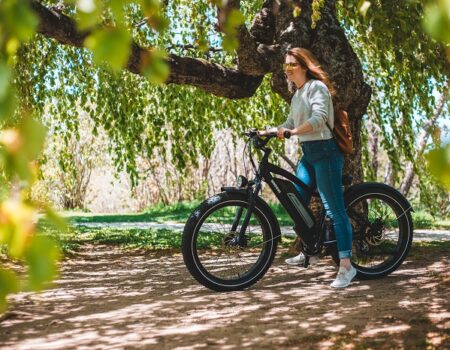 Fat Tyre Electric Bikes
