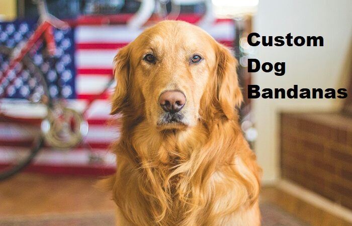 Custom Dog Bandanas