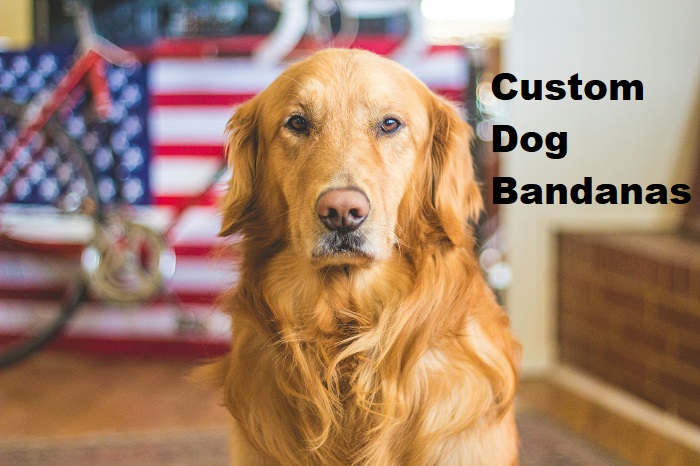 Custom Dog Bandanas