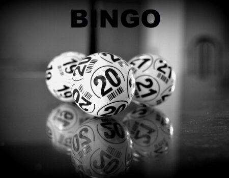 bingo social