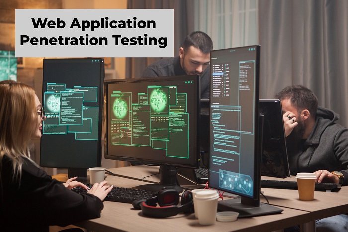 Web Application Penetration Testing