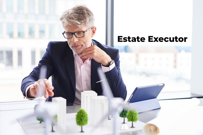 Estate Executor