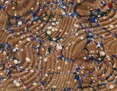 muscle cells