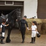 Equine School