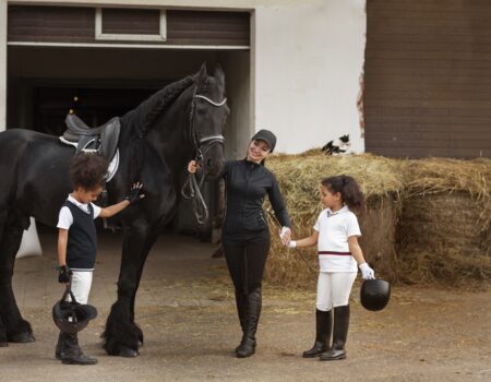 Equine School
