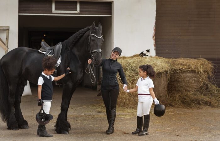 Equine School