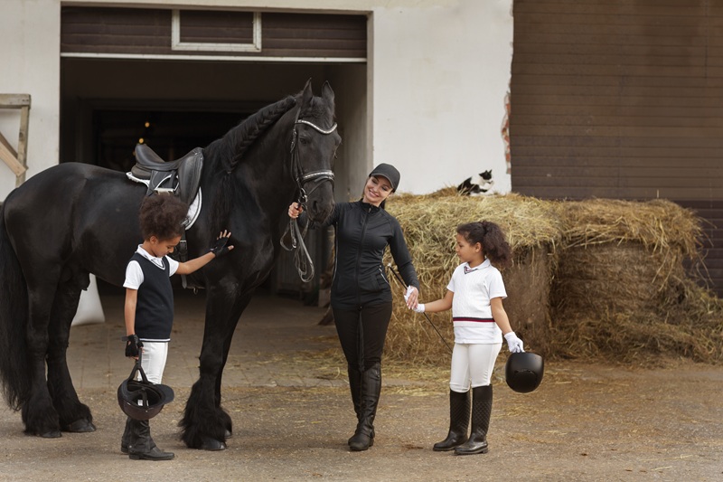 Equine School